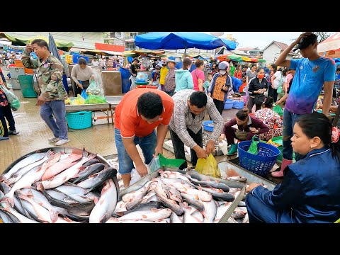 Fish Market Scenes