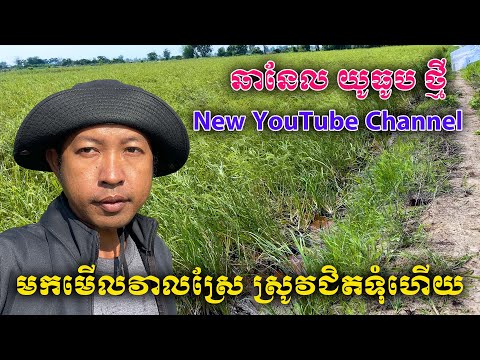 Rural landscape in Cambodia/ទេសភាពស្រុកស្រែ នៅប្រទេសកម្ពុជា