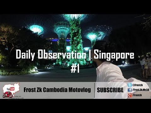 Daily Observation | Singapore